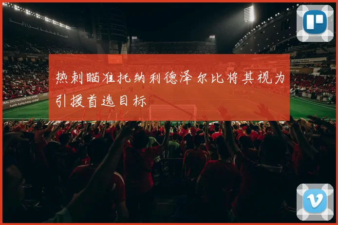 热刺瞄准托纳利德泽尔比将其视为引援首选目标