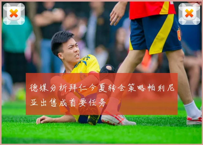 德媒分析拜仁今夏转会策略帕利尼亚出售成首要任务